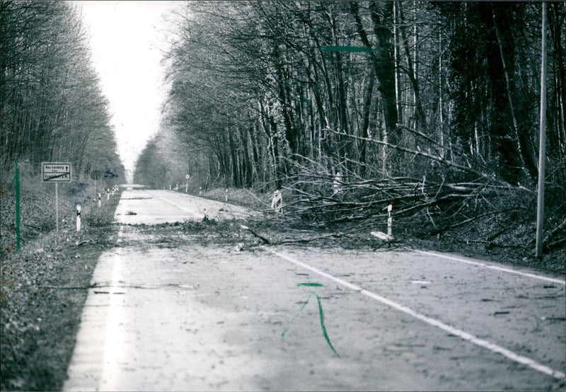 1990 MKAT SEVERE WEATHER STORM JANFEB MARZ HURKAN WIEBKE FALLEN TREES BLOCKED - Vintage Photograph