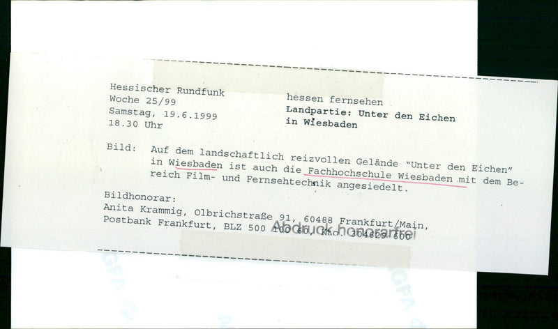 1999 HEADING APOTHECARY GARDEN FLOWERS PLANTS HESSISCHER RUNDFUNK WEEK SATUR FILM - Vintage Photograph