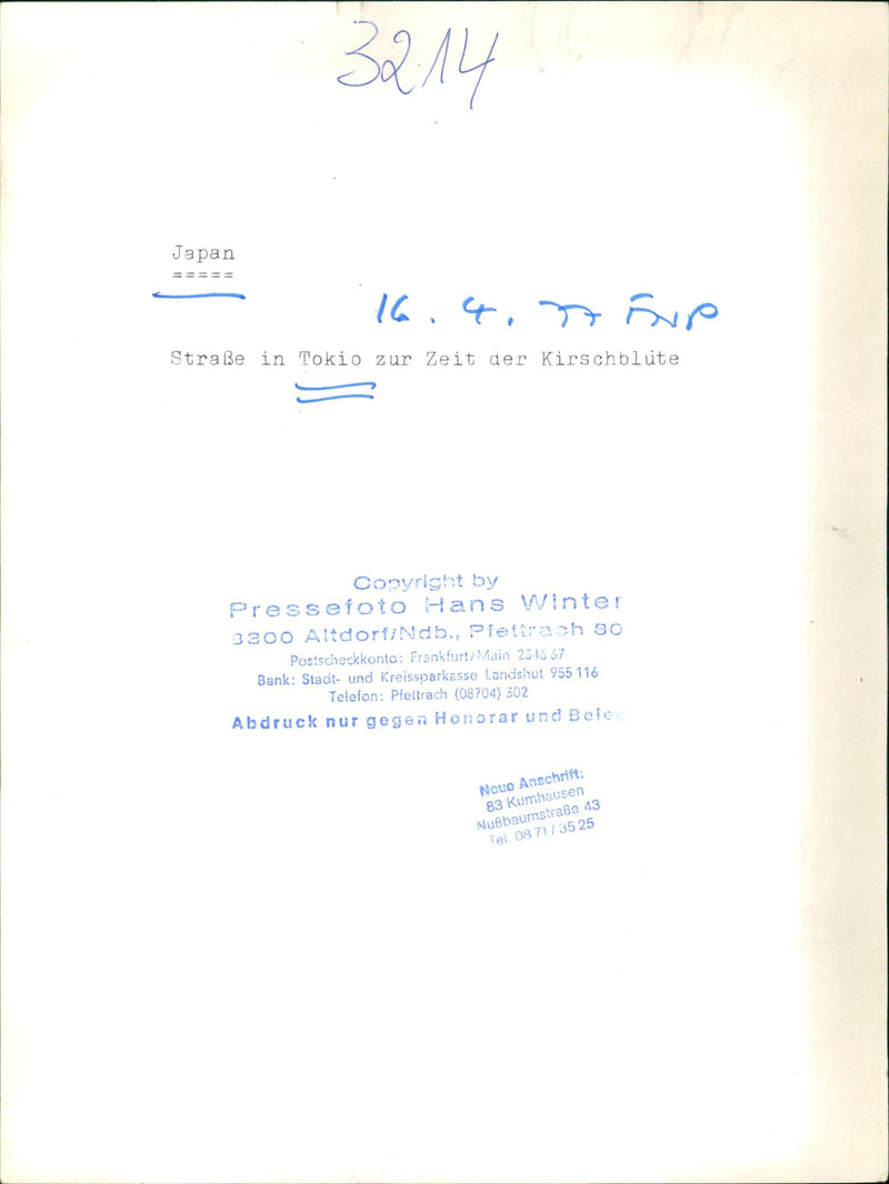 TOKYO CHERRY PEOPLE TOKYO CHERRY BLOOD JAPAN - Vintage Photograph