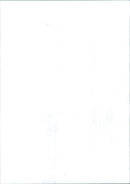 1992 BETWEENHHU PIER BEACH PARK RUN SHIPS WHITE FLEET PLA - Vintage Photograph