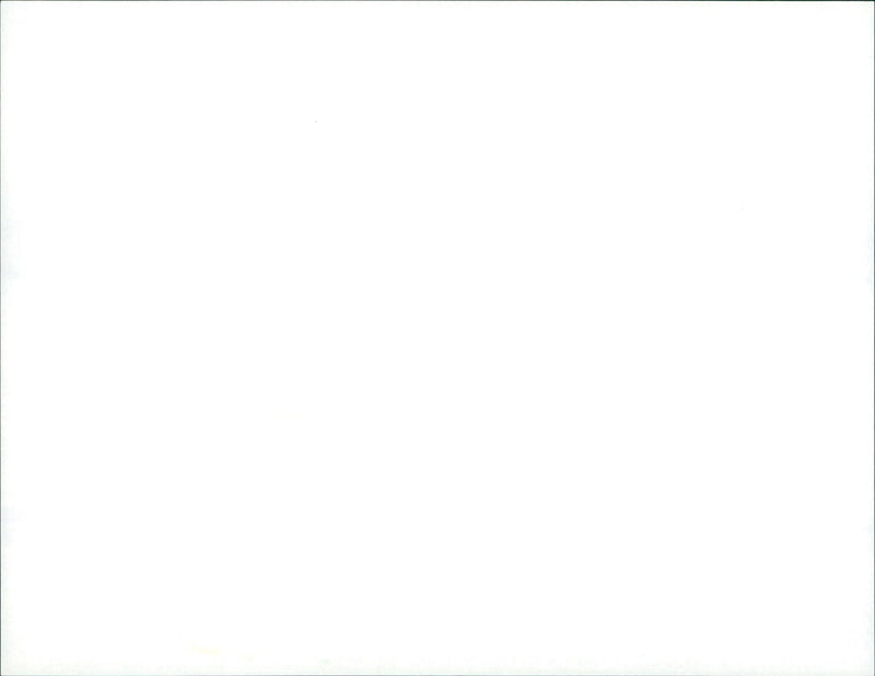 1990 WURZBURG LANDESGARTENSCHAU OPEN LANDSCAPE - Vintage Photograph