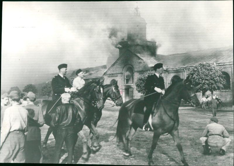 1956 Olympic Equestrian Games - Vintage Photograph