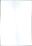 1995 NHEO FNP FREEZEIT REN POOZIES ARE STARS CONCERT - Vintage Photograph