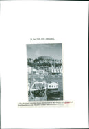 1995 NHEO FNP FREEZEIT REN POOZIES ARE STARS CONCERT - Vintage Photograph