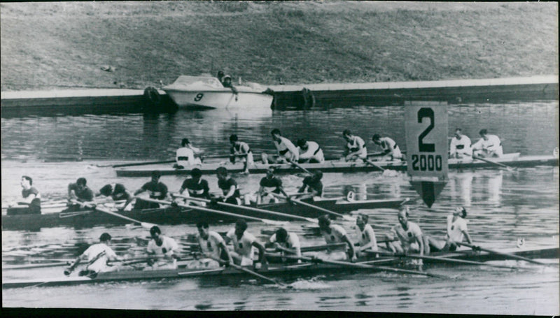 Olympic Games 1964 - Vintage Photograph