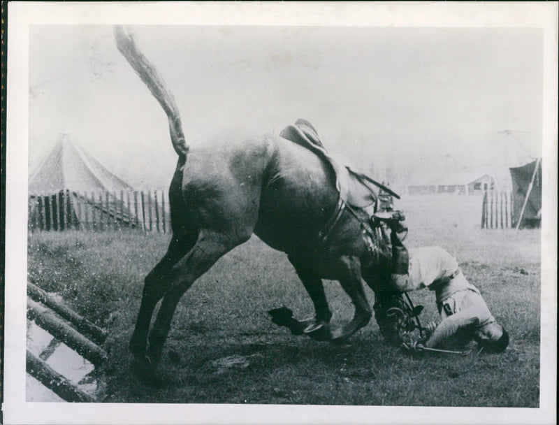 Olympia / Military - Major J.R. Burton - Vintage Photograph