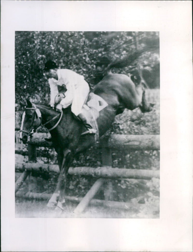 Olympic Equestrian Games - Otto Rothe - Vintage Photograph