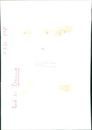 1980 Mercedes-Benz 300 SL - Vintage Photograph