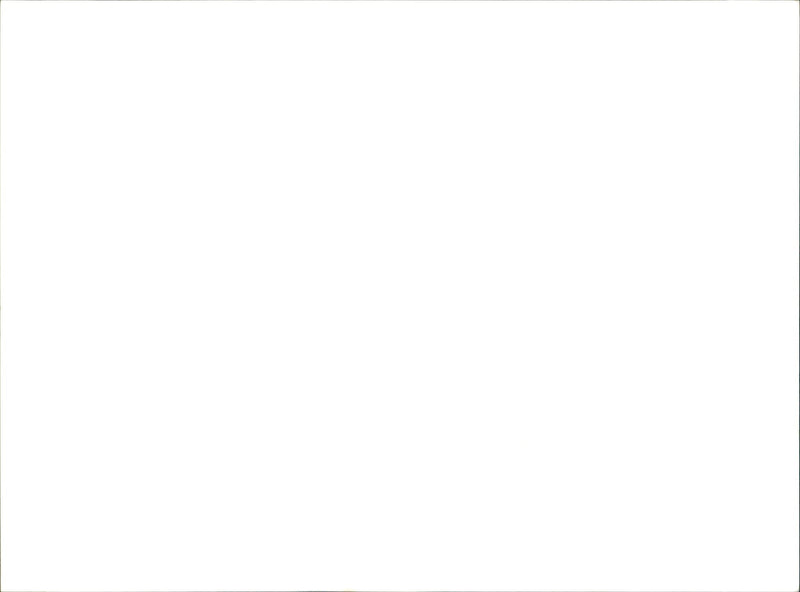 NGEN TAG YOU LANDSCAPES LANDSCAPING SERIES - Vintage Photograph