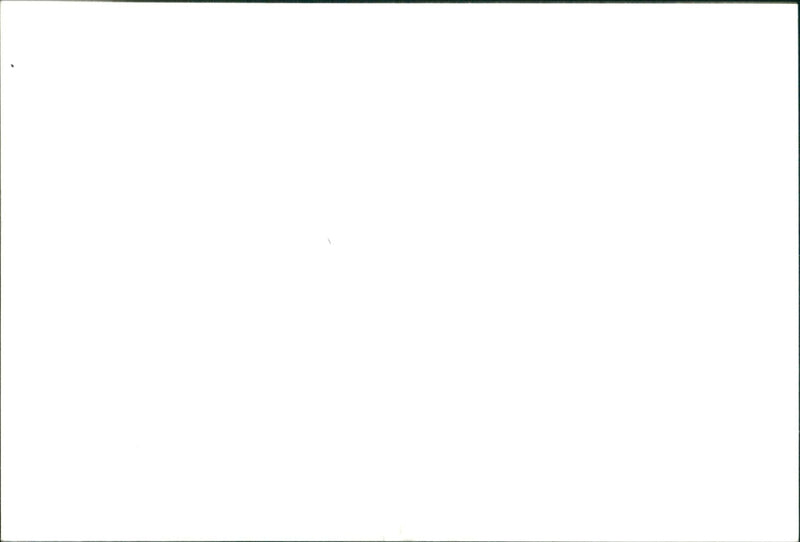 NGEN TAG YOU LANDSCAPES LANDSCAPING SERIES - Vintage Photograph