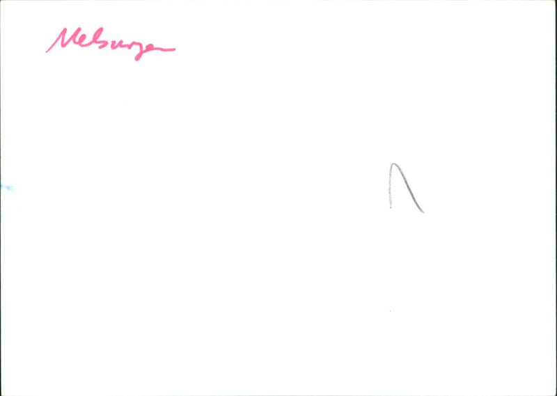 LANDSC HEB CEKA MAVE NAUSELBURZEN NGEN TAG YOU LANDSCAPES LANDSCAPING - Vintage Photograph