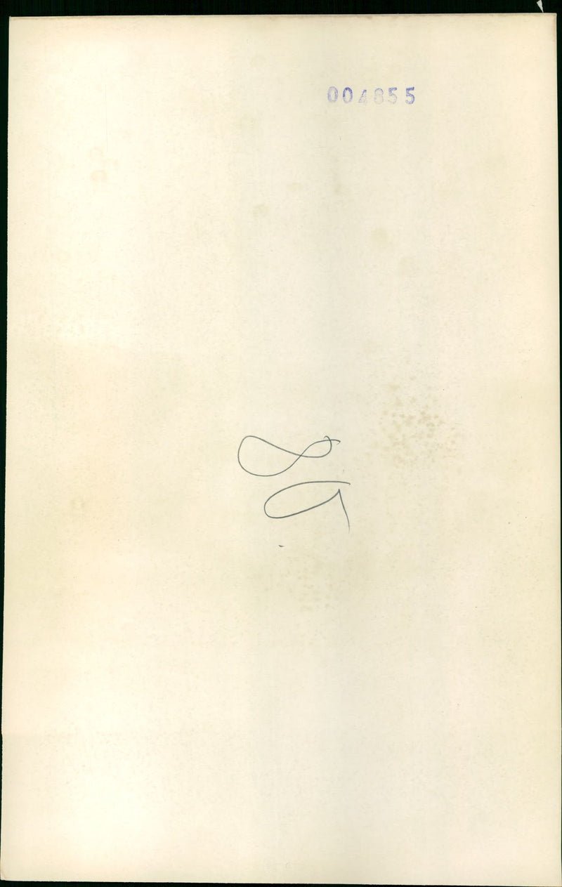 GRENOBLE BILDS LANDSCAPE WINIER VERCOURS SERIES GARDENS - Vintage Photograph