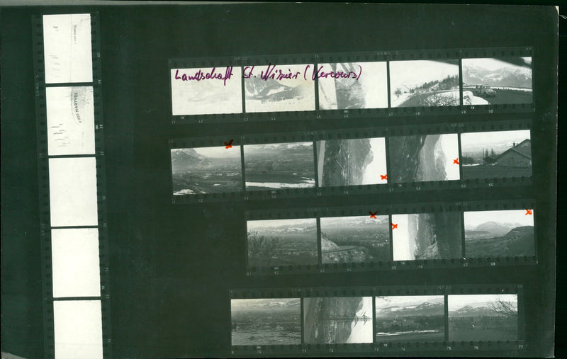 GRENOBLE BILDS LANDSCAPE WINIER VERCOURS SERIES GARDENS - Vintage Photograph