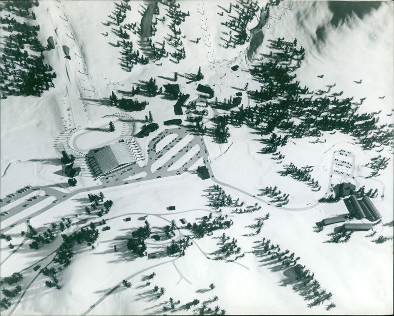 at the 1960 Winter Olympics - Vintage Photograph