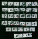 OLIMPIC WINTER PLAYING JAMES DRIVER MICHAEL VLADIMIR FILM - Vintage Photograph