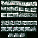 PLAYING THONFELD SARAJEVO FEBUARY OLYMPIA OLYMPIC WINTER THONFEL FILM - Vintage Photograph