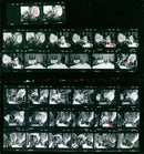 OLYMPIC WINTER PLAYING THONFELD SARAJEVO STROLL ROCCOON ENKE SCH FILM - Vintage Photograph