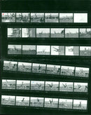 1983 MULTIMAE WEATHER EASTERNITY IFD NUMBERING FILM DIGITS - Vintage Photograph