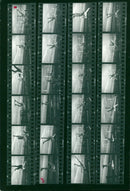 DINAMO CUP TALLEN SQUARECO CEEP PEOPLE FILMNUMZ MICHAEL - Vintage Photograph