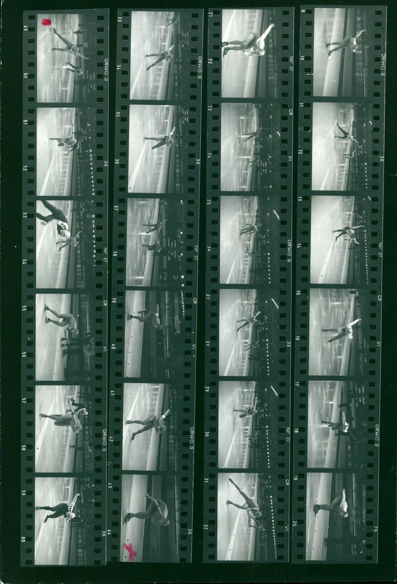 DINAMO CUP TALLEN SQUARECO CEEP PEOPLE FILMNUMZ MICHAEL - Vintage Photograph