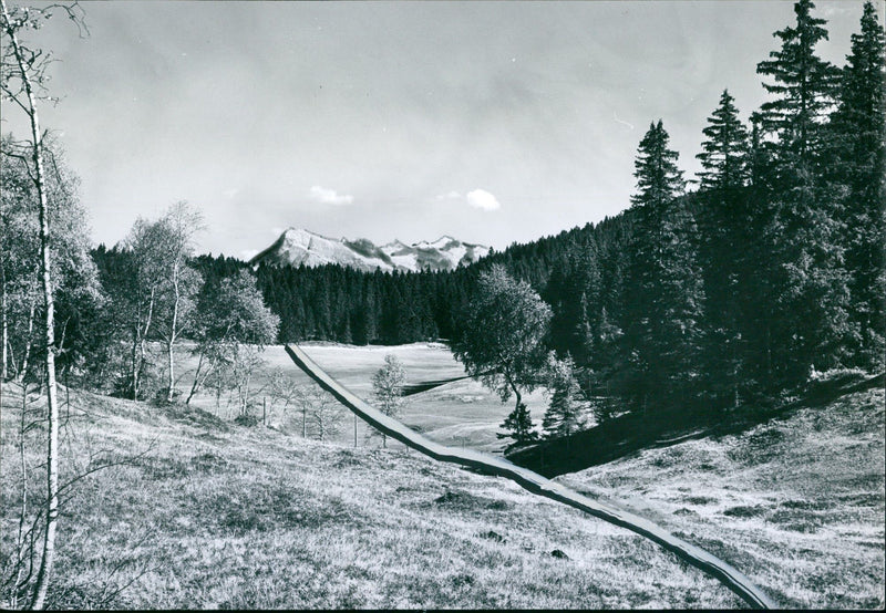 Innsbruck 1964 - Vintage Photograph