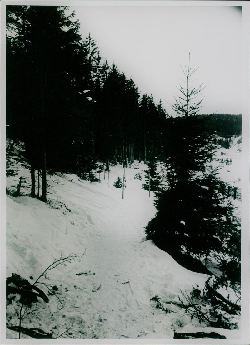 Innsbruck ski slope 1964 - Vintage Photograph