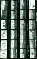 BERD DYN CUP SHOT SALA READ ACCOUNT SPARK BERLIN VILA FILM - Vintage Photograph