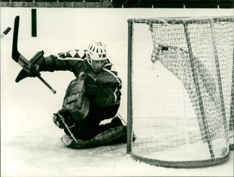 Ice hockey tournament Dynamo Moscow - Dynamo Berlin 1970 - Vintage Photograph