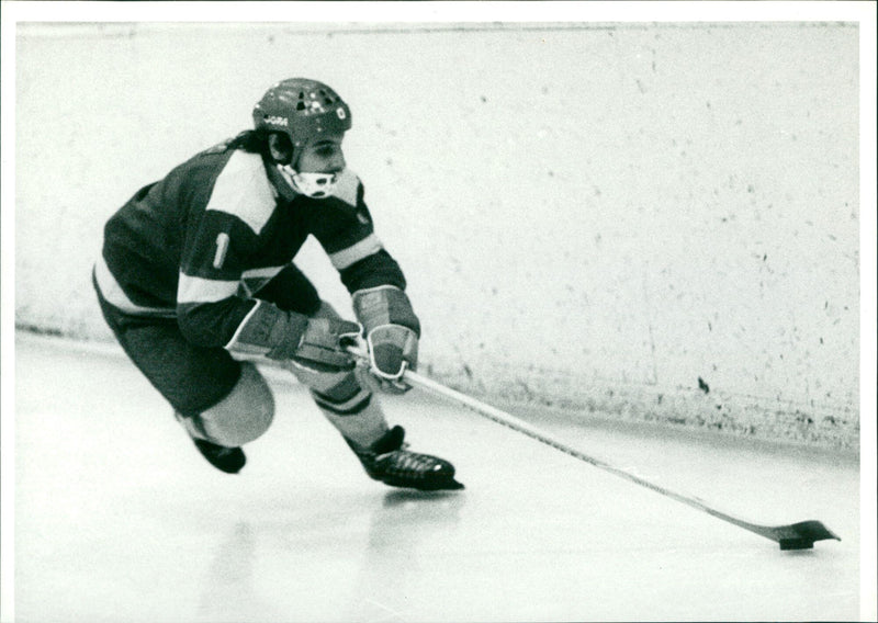 Ice hockey game SC Dynamo Berlin vs. SG Dynamo Weißwasser - Vintage Photograph