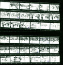 1982 BERLIN SCHMOCKWITZ BSG TIEFBAU BERLUI SEKT WATER RIDING LOOBA FILMN - Vintage Photograph