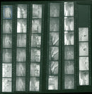 WINTER WINKS DAHME RIDE MOST POPULAR SKI EXPEDITIONS - Vintage Photograph