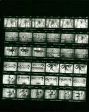 1982 SCIENCES BASKETBALL SECTION ACADEMY SCIENCE FILM - Vintage Photograph