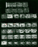 DYNAMO BERLIN HOHENSCHONHAUSEN DYN HSCH ONHAUSE FILM - Vintage Photograph