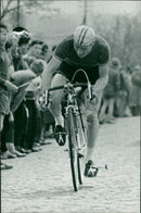 BERLIN GERMANYS MOST POPULAR MUSIC FESTIVALS FESTIVAL - Vintage Photograph