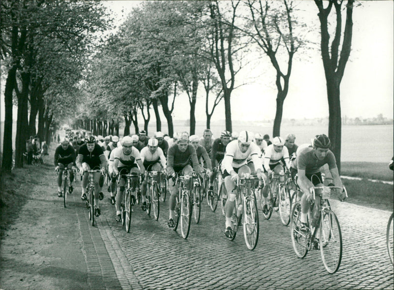 International Peace Tour 1962 - Vintage Photograph