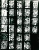 KODAK SAFETY FILM TRI PAN RAM PANFILM KOD SAFET - Vintage Photograph