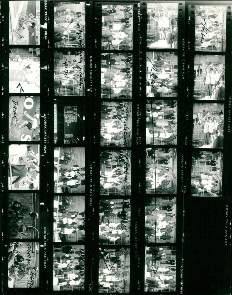 KODAK SAFETY FILM TRI PAN RAM PANFILM KOD SAFET - Vintage Photograph