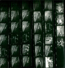 BRESCHER TEAS RAASCH SIA KODAK TRI XCAN FILM ODAK TRIX PAN KOD - Vintage Photograph