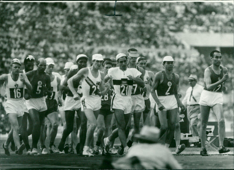 1960 Summer Olympics - Vintage Photograph