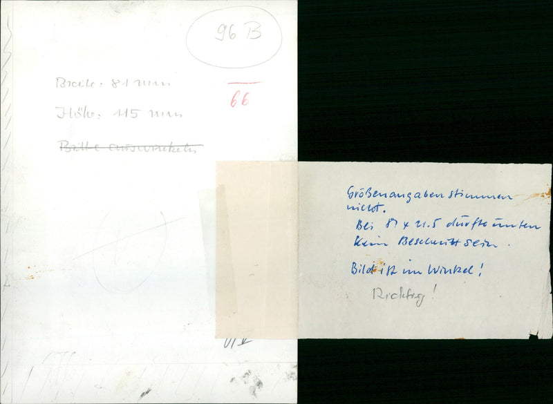 1960 Summer Olympics - Vintage Photograph