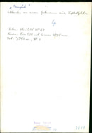 WERE GARDEN FENCE ENNES FUBALLPLATES FILM KLENIB - Vintage Photograph