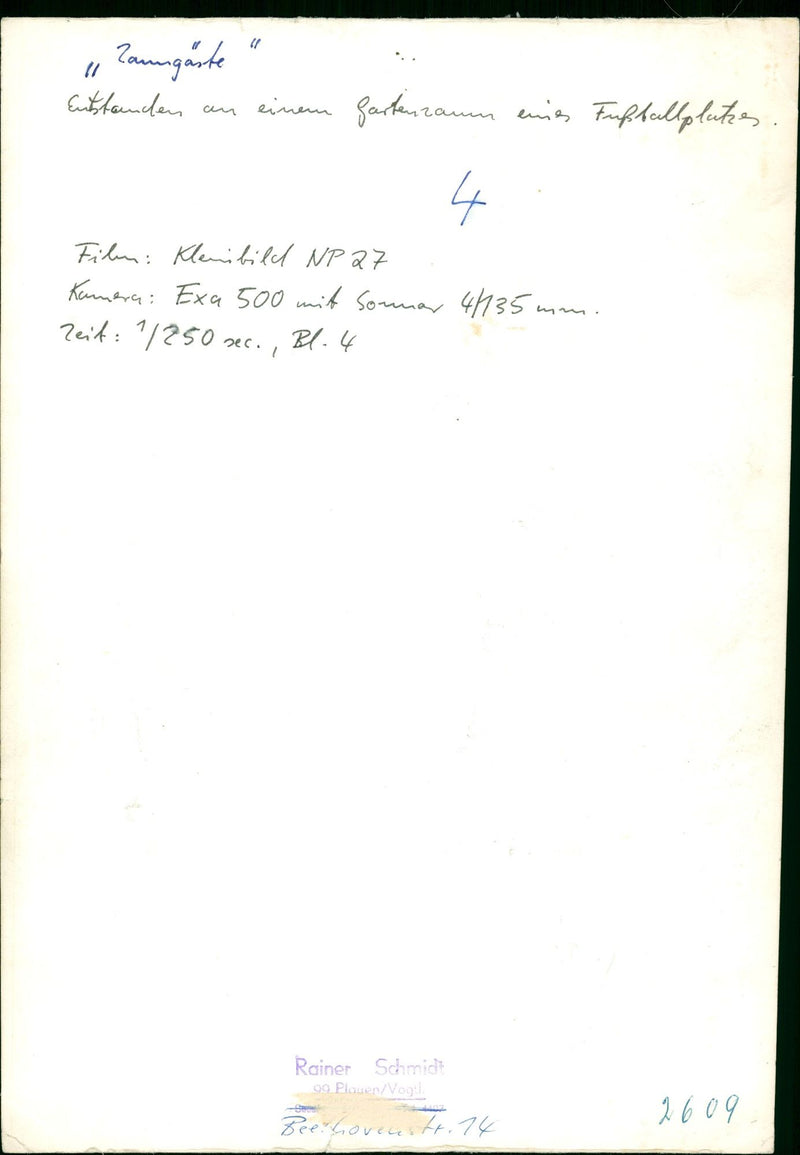 WERE GARDEN FENCE ENNES FUBALLPLATES FILM KLENIB - Vintage Photograph