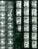 1979 KODAK SAPEUT FILIN TRIX FAN FILM SAFETY FIL - Vintage Photograph