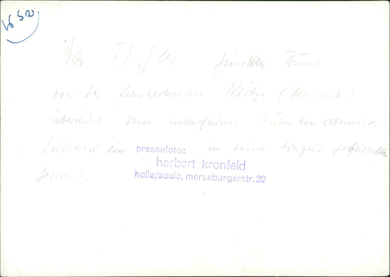 ROCK JEESSOPEN JOULU SELAMMARUSIGE DDR LIVLIS FILM WELL - Vintage Photograph