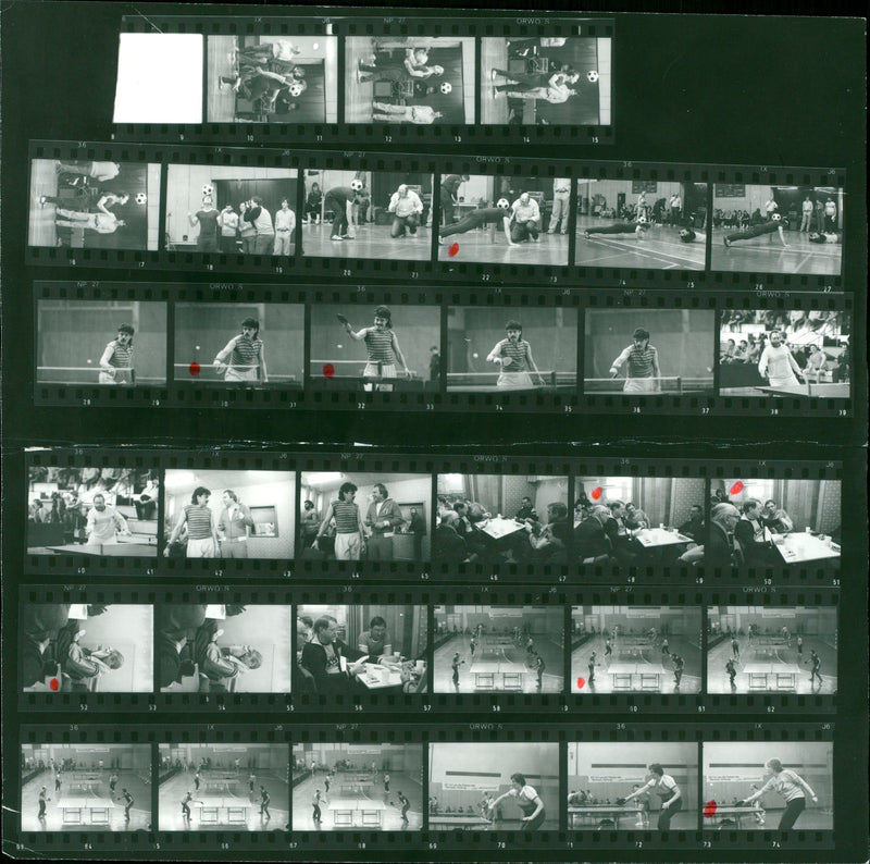 TROPHY BERLINER RASTELLI HARTMAL KIELE DILER HERT FILM - Vintage Photograph