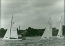 FOG CUP SOLING VOLKER SEFEEL ROUGT TEL ACCOUNT FILM - Vintage Photograph