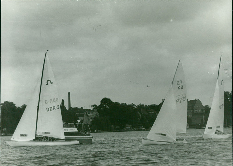 FOG CUP SOLING VOLKER SEFEEL ROUGT TEL ACCOUNT FILM - Vintage Photograph