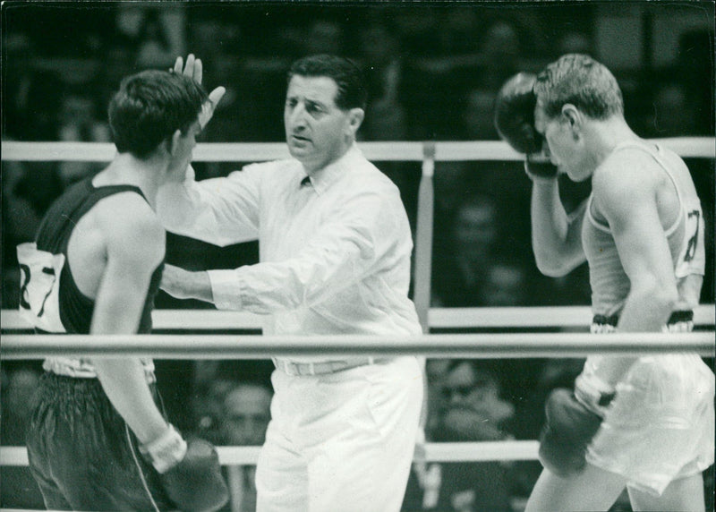 boxer - Vintage Photograph