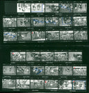 SIT WRITER GALINA TIAN BERRIA KUINDDAR PHTHALMOLOGIST ALEXANDER TAR DAVID - Vintage Photograph