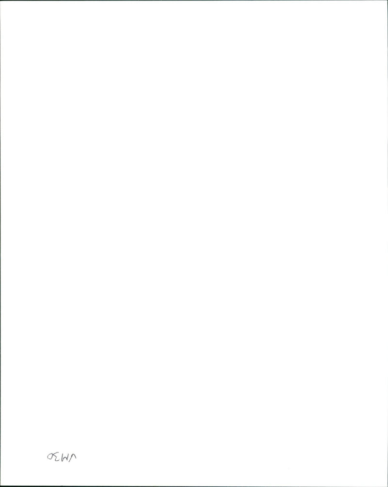 ROUVE MICKEY FILMS 1 - Vintage Photograph